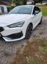 CUPRA Leon e-Hybrid Weiß - thumbnail 4