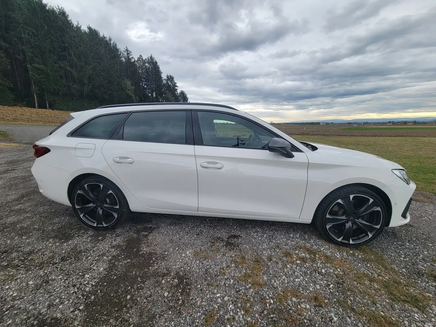 CUPRA Leon e-Hybrid Weiß - 1