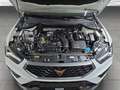 CUPRA Ateca 1.5 TSI LED+NAVI+AHK+PARKLENK+APP-CONNECT Weiß - thumbnail 17