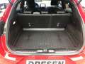 Ford Puma ST-Line 1.0 EcoBoost Mild Hybrid  ST-LINE X Navi, Rojo - thumbnail 15