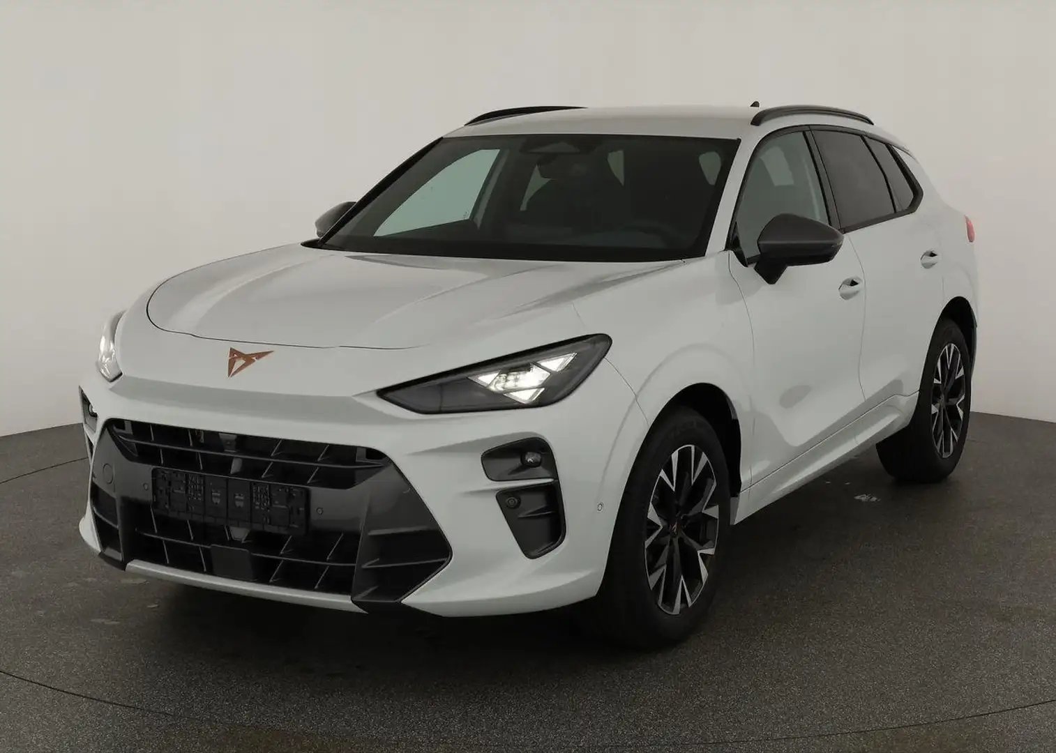 CUPRA Terramar 2.0 TSI DSG 4Drive, Standheizung, AHK, AreaView, s Wit - 2