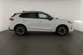 CUPRA Terramar 2.0 TSI DSG 4Drive, Standheizung, AHK, AreaView, s Bianco - thumbnail 24