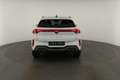 CUPRA Terramar 2.0 TSI DSG 4Drive, Standheizung, AHK, AreaView, s Alb - thumbnail 18