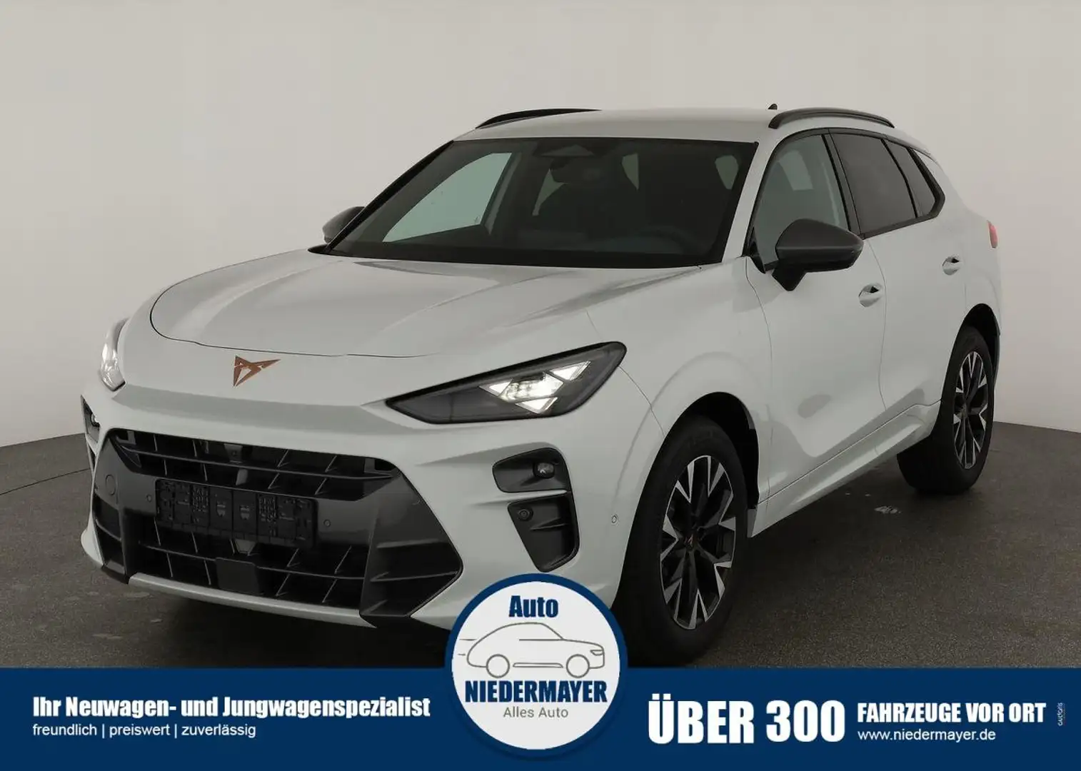 CUPRA Terramar 2.0 TSI DSG 4Drive, Standheizung, AHK, AreaView, s Білий - 1