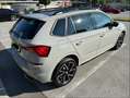 Skoda Kamiq Kamiq 1,0 TSI Monte Carlo Monte Carlo Grau - thumbnail 5