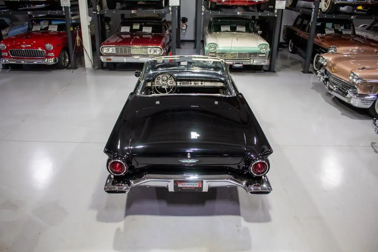 Ford Thunderbird, foto 10