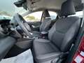 Toyota Yaris Yaris 1.5 Hybrid 5 porte Trend - thumbnail 9