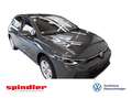 Volkswagen Golf VIII Life 1.5 eTSI DSG / Pano, Matrix, AHK Grau - thumbnail 1