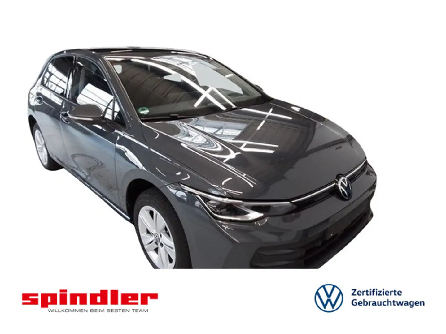 Volkswagen Golf VIII Life 1.5 eTSI DSG / Pano, Matrix, AHK Grau - 1