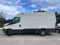 Iveco Daily Chasis Cabina 35C13 3450 Leaf 126 Verde - thumbnail 5