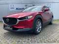 Mazda CX-30 SKYACTIV-X 2.0 M HYBRID MT AWD Selection AWD Rouge - thumbnail 3