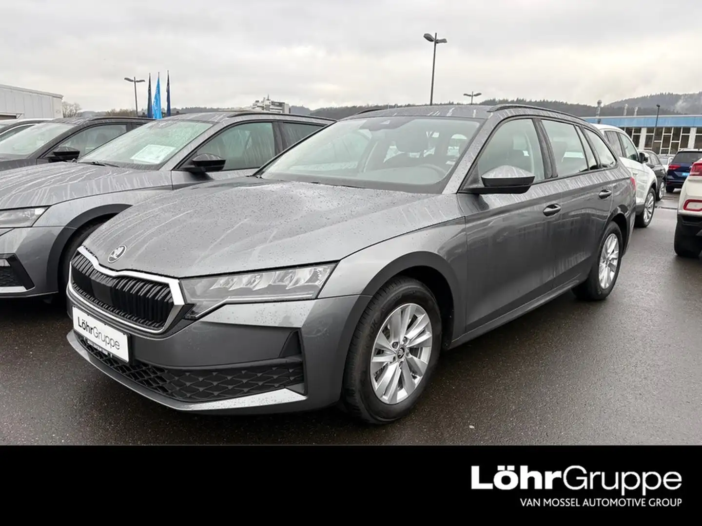 Skoda Octavia Combi 1.5 TSI Essence AHK, LED Grau - 1