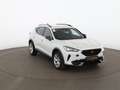CUPRA Formentor 1.5 TSI Aut LED RADAR NAVI R-CAM TEMP Weiß - thumbnail 5