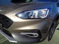 Ford Focus 1.0 EcoBoost 125 CV 5p. Active Brons - thumbnail 5