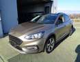 Ford Focus 1.0 EcoBoost 125 CV 5p. Active Brons - thumbnail 1