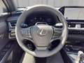 Lexus UX 300h F-Sport Design 199 PS 2WD Schwarz - thumbnail 12