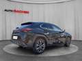 Lexus UX 300h F-Sport Design 199 PS 2WD Schwarz - thumbnail 7