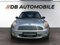 MINI Mini Austrian Pepper Gris - thumbnail 2