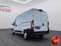 Fiat Ducato 35 MAXI 2.3 MJT 140CV (PM-TM L2H2)CRUISE-NAVI-E6D- Bianco - thumbnail 5