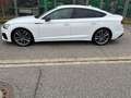 Audi S5 S5 Sportback TDI quattro tiptronic Weiß - thumbnail 4