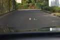 BMW 523 i M-Sportpaket! Unikat! Head Up! 19 Zoll!* Grau - thumbnail 23