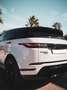 Land Rover Range Rover Evoque D150 R-Dynamic S Bvm6 - thumbnail 45