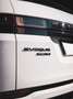 Land Rover Range Rover Evoque D150 R-Dynamic S Bvm6 - thumbnail 27