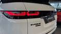 Land Rover Range Rover Evoque D150 R-Dynamic S Bvm6 - thumbnail 26