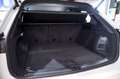 Volkswagen Touareg Prem Eleg 3.0 V6 TDI 210kW Tip 4M Blanco - thumbnail 12