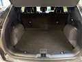 Ford Kuga 1.5 EcoBoost ST-LINE X Gris - thumbnail 7