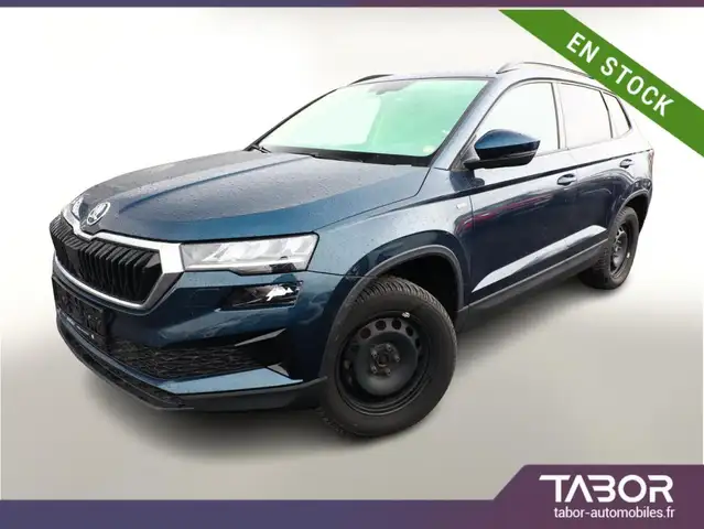 Skoda Karoq 2.0 TDI 116 Tour LED AHK Kam PDC A