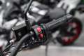 Benelli Leoncino 500 Trail, unfallfrei, 1. Hand Verde - thumbnail 10