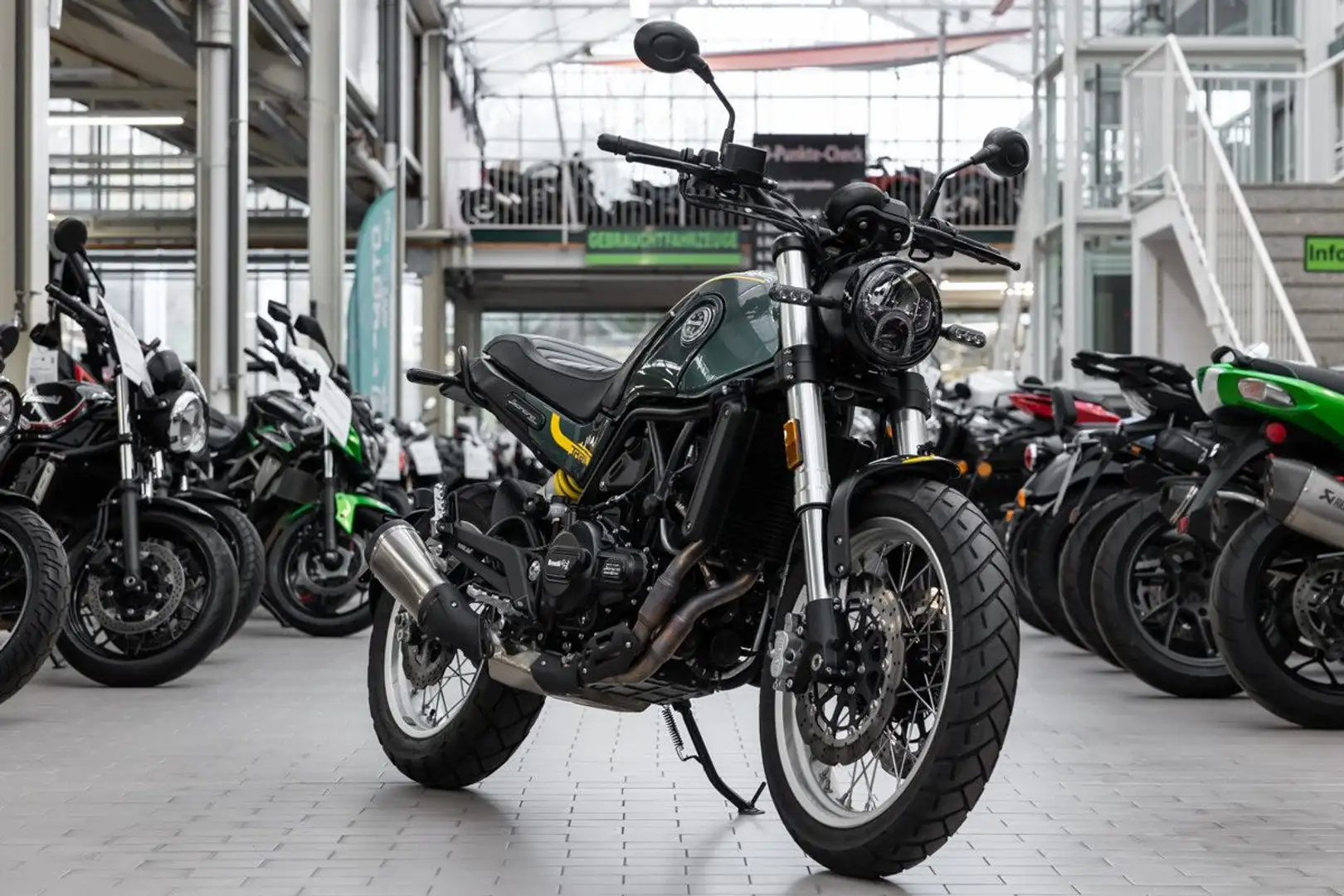 Benelli Leoncino 500 Trail, unfallfrei, 1. Hand Verde - 2