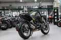 Benelli Leoncino 500 Trail, unfallfrei, 1. Hand Verde - thumbnail 6