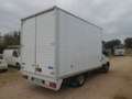 Iveco Daily 35c18 furgonatura in lega Weiß - thumbnail 4