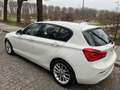 BMW 116 116i Urban 5p Weiß - thumbnail 8