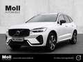 Volvo XC60 Plus Dark Recharge Plug-In Hybrid AWD T6 Twin Engi Weiß - thumbnail 1