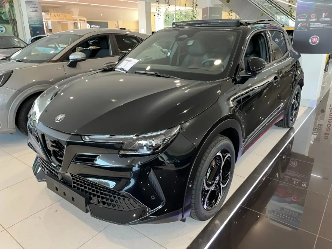 Alfa Romeo Junior 2026