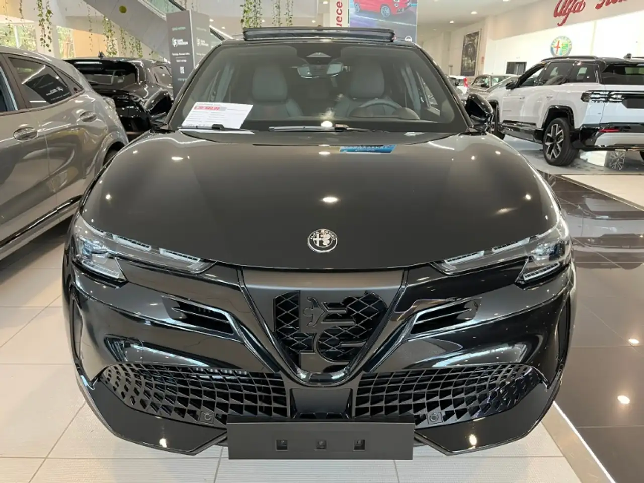 Alfa Romeo Junior 2026