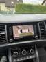 Skoda Kodiaq 2,0 TDI SCR 4x4 Style Zahnriemen neu! - thumbnail 11