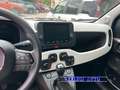 Fiat Pandina PANDINA CROSS  1.0 FireFly  Hybrid KM0 Синий - thumbnail 13