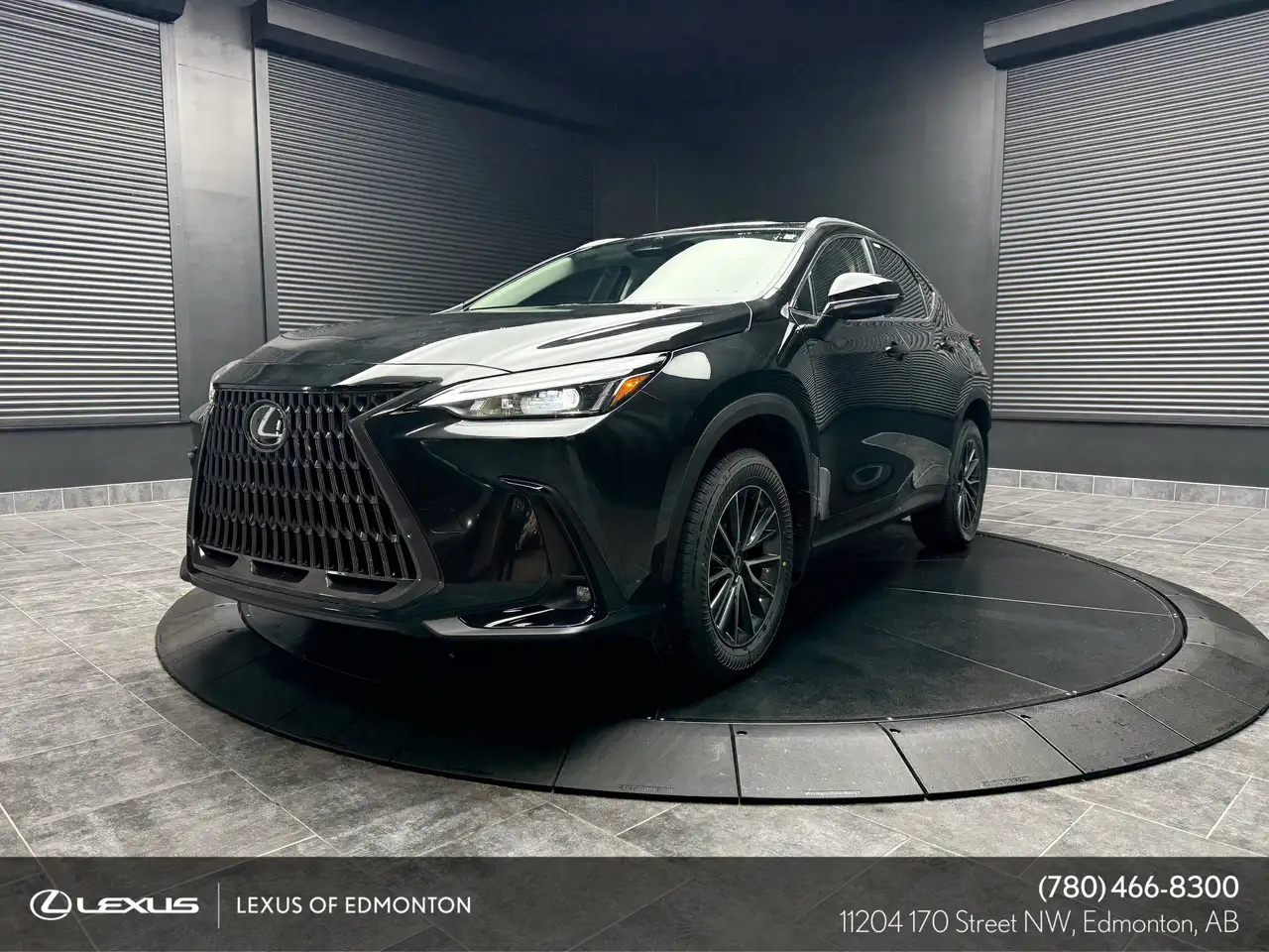 2026 Lexus NX