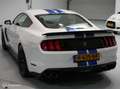 Ford Mustang Shelby GT350 Grijs - thumbnail 12