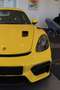 Porsche 718 Cayman GT4 RS PDK Amarillo - thumbnail 1