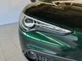Alfa Romeo Stelvio 2020 Diesel 2.2 t Business rwd 160cv auto Verde - thumbnail 19