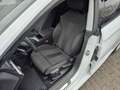 Audi A5 Sportback 40 TFSI advanced*MATRIX-LED*KAMERA*NAVI* Weiß - thumbnail 2