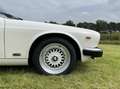 Jaguar Sovereign 5.3 V12 HE Sovereign Blanco - thumbnail 27