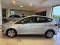 Ford C-Max 1.0 EcoBoost 100 CV Start&Stop Titanium Grigio - thumbnail 8