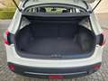 Nissan Qashqai Visia 1.6 Alu Insp./Öl neu  HU3/26 1J. Gar. WR Weiß - thumbnail 12