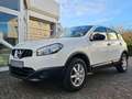 Nissan Qashqai Visia 1.6 Alu Insp./Öl neu  HU3/26 1J. Gar. WR Weiß - thumbnail 8